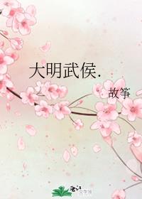 大明武侯.作者:故筝