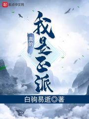 我真的是正派(从山寨NPC到大BOSS)[校对版]