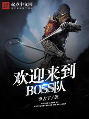 欢迎来到BOSS队[校对版]