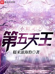 小精灵之第五天王[校对版]