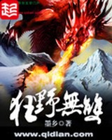 狂野无双游戏