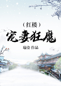 红楼宠妻狂魔txt雪烛锦灯