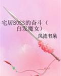 宅居boss的奋斗白发魔女小说