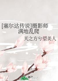 [塞尔达传说]摄影师满地乱爬