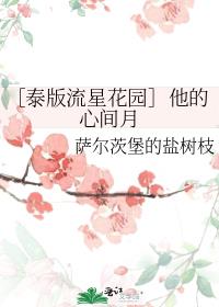 ［泰版流星花园］他的心间月