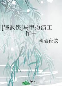 在武侠扮演马甲的小说