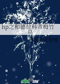 hp言情cp德拉科