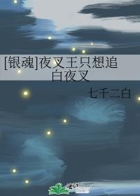 银魂白夜叉ova