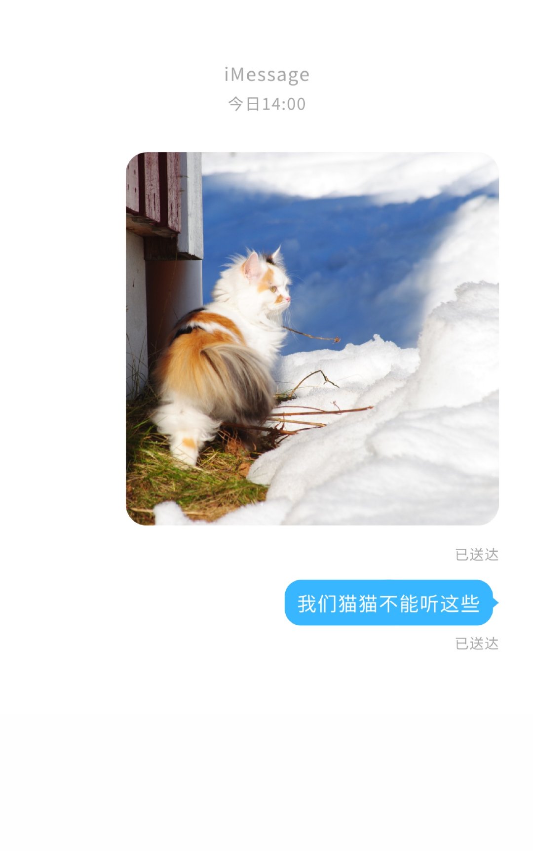 猫吹太恶心了