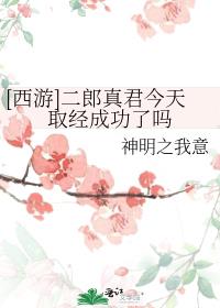 西游二郎真君今天取经成功了吗 神明之我意