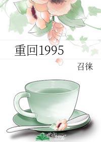 重回1995晋江