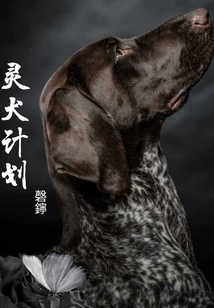 灵犬软件