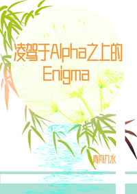 凌驾于alpha之上的enigma小说