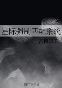 星际强制匹配系统有几个受