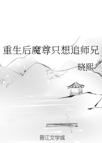 重生后魔尊只想追师兄百度网盘