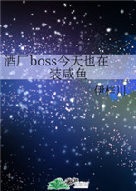 boss今天又在撒狗粮在哪可以看