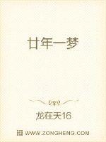 廿年一梦