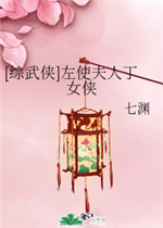 左使夫人丁女侠
