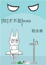 才不是boss