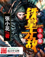 铁掌无敌王小军[校对版]